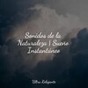 Ruido Blanco Para Bebes、Musica Meditaction、Relajarse - Armonía De Otoño
