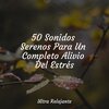 Música para Meditar y Relajarse、Musica Meditaction、Dormir - Relajación De Sol De Primavera