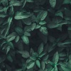 KANJIAN疗愈_静心助眠 - 保持冷静