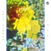 PAQII、Calm Sounds、Sakura records official樱花记录 - Love Garden