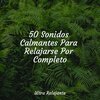 Lluvia Relajante、Musica Meditaction、Saludo al Sol Sonido Relajante - Esperando Suavemente