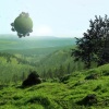 Autodidactic Studios、Waterflame、pftq - Greenest Grass (Radio Edit)