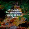 Musica Para Dormir y Sonidos de la Naturaleza、Saludo al Sol Sonido Relajante、Relajante - Continúa
