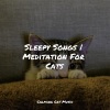 Music For Cats、Cat Music Experience、Cats Music Zone - Welness and Mindfulness