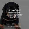 Music for Leaving Dogs Home Alone、Music for Dog's Ears、Relaxing Music for Dogs - Starting Today