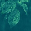 钢琴爵士 - 一尘不染学习印象数