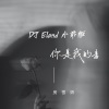 DJEland小弟 - 你是我的毒 (DJEland小弟 remix版)(Remix)