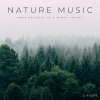 Nature Sound Series、Nature Soundscape、Nature Sounds Backgrounds《Nature Music: Soft Drizzles In A Windy Forest《2 Hours》[MP3/LRC]