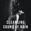Nature's Noise、Complete Spa Music、Loud Lullaby - Rain Noise Paradise