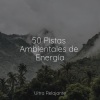 Sons da Natureza & Relaxamento、Música de la Naturaleza、Musica Relajante & Yoga - Pájaros En El Aire