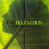 Musique Coeur de la Nature、Oasis des Bruits Naturels - La musique de la nature