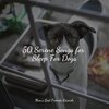 Music for Pets Library、Music for Leaving Dogs Home Alone、Music for Dog's Ears - Starting Today