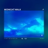 Hilarity Leap Records、MyLzght、L3ADB1RD - Midnight Walk
