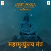 Ashit Desai - Maha Mrityunjay Mantra