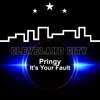 Pringy - It's Your Fault