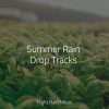Massagem、Pure Serenity Spa Music & Massage Collective Garden & Zen Relaxation Meditation、Yoga Trainer - Large River, Forest, Close