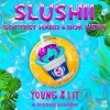 Slushii、Softest Hard、Bok Nero《Young & Lit》[MP3/LRC]