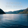 Estudio de sonidos de lluvia、Música Para Dormir Rápido、Lluvia Relajante para Dormir - Sonidos Del Fuerte Río