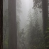 Damp - Binsy