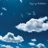 Der Ziegler - Against the Current