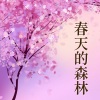 春天的早晨 - 春雨