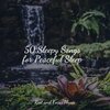 Nature Sounds Nature Music、Study Music & Sounds、Yoga Workout Music - When I Fall Asleep