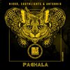Nikko、Southlights、Antonnio - Pachala