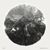 VLMV、Peter David Lambrou - He Has Already Divided Us