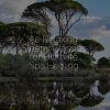 Namaste Healing Yoga、Meditation & Stress Relief Therapy、Yoga Workout Music - Mountain of Harmony