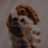 Music for Pets Library、Music for Leaving Dogs Home Alone、Music for Dog's Ears - Starting Today