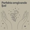 Avslappnande Meditation Akademi - Totalt lugn