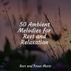 Pro Sound Effects Library、Study Zone、Relajación - Cloud Horizons