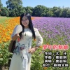 姜丽娟 - 梦中的新娘