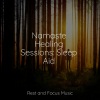 instrumental、Schlaflieder Für Kinder、Meditacao Clube - Tinkling Tones