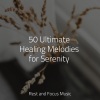 Meditation Music Experience、Massagem Coleção de Músicas、Alpha Brain Waves - The Greatest Sunrise