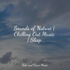 Namaste Yoga、Deep Sleep Meditation、Music to Relax in Free Time - Underwater Marvels
