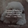 Music for Pets Library、Music for Leaving Dogs Home Alone、Music for Dog's Ears - Starting Today