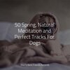 Music for Leaving Dogs Home Alone、Music for Dog's Ears、Relaxing Music for Dogs - Starting Today