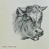 C. Reider - Fast Hands