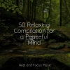 Meditacao Clube、Mindfulness Meditation World、instrumental - Sunshine Sunday