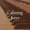 Piano Dreams - Alone Tonight