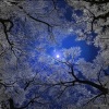 时间过客 - 今夜你会不会想起我