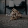 Music for Dog's Ear、Music for Pets Library、Music for Leaving Dogs Home Alone - Starting Today