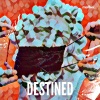 beatenvy、DJ TANI、Mert Harmankaya《Destined》[MP3/LRC]