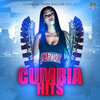 Cumbia Hits、Cumbias Para Bailar - Popurri Tabasco