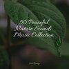 Yoga Workout Music、Rainy Sounds - Water, Stream, Evening