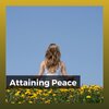 Meditation Music Club - Light Meditation, Pt. 18