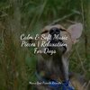 Music for Leaving Dogs Home Alone、Music for Dog's Ears、Relaxing Music for Dogs - Starting Today