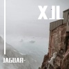 JAGUAR- - 黑瘦黑瘦