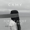 camy - Forget About Your Past (Remix)